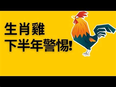 1981屬雞2023運勢|【1981 雞 五行】1981年出生的屬雞人命運解析：五行、命格與運。